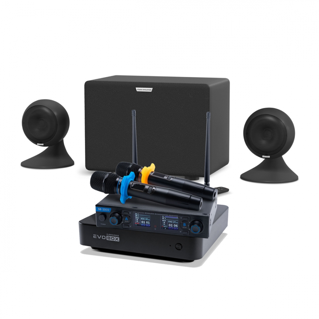 караоке-комплект EVOBOX + EvoSound Sphere 2.1 в Артеме