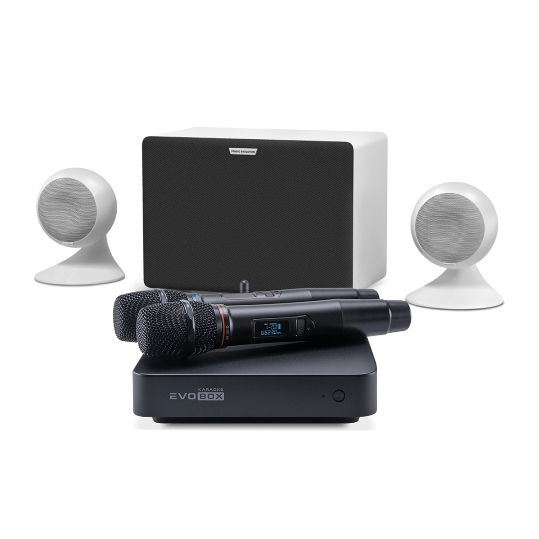 караоке-комплект EVOBOX Classic + EvoSound Sphere 2.1 в Артеме