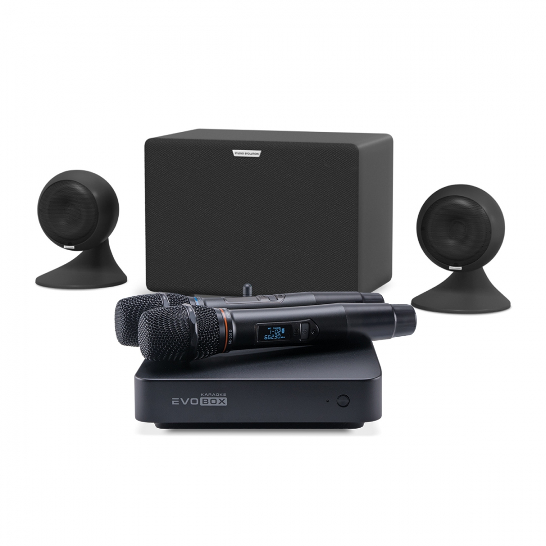 караоке-комплект EVOBOX Plus + EvoSound Sphere 2.1 в Артеме