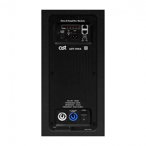 Активная акустическая система AST-310A в Артеме