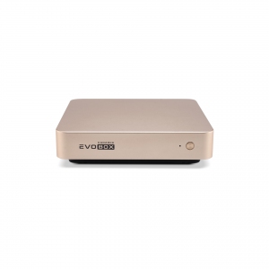 EVOBOX с микрофонами в Артеме
